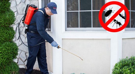Malazgirt Karınca İlaçlama böcek ilaçlama ve haşere kontrolü — ilaclama-tr.com